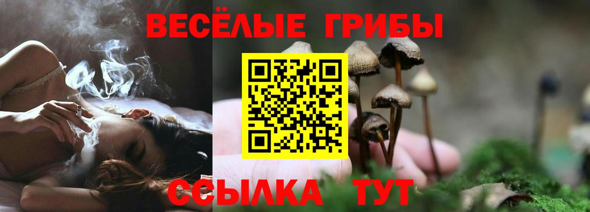 Сердобск  Галлюциногенные грибы Magic Shrooms  Вход с VPN 